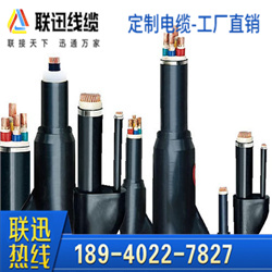 預分支電纜